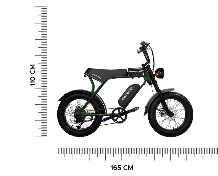 EMotorad Ranger Electric Cycle with Ah Li-Ion Removable